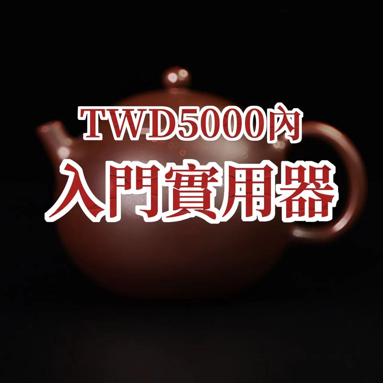 紫砂壺-TWD5000內入門實用器