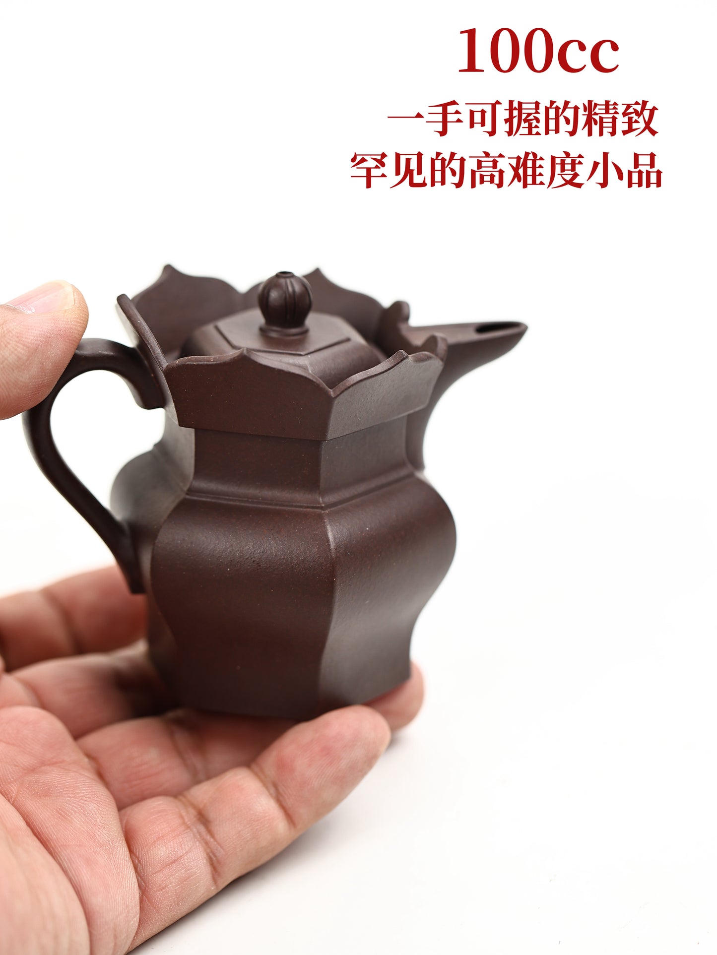 大彬僧帽壺 紫泥制 100cc