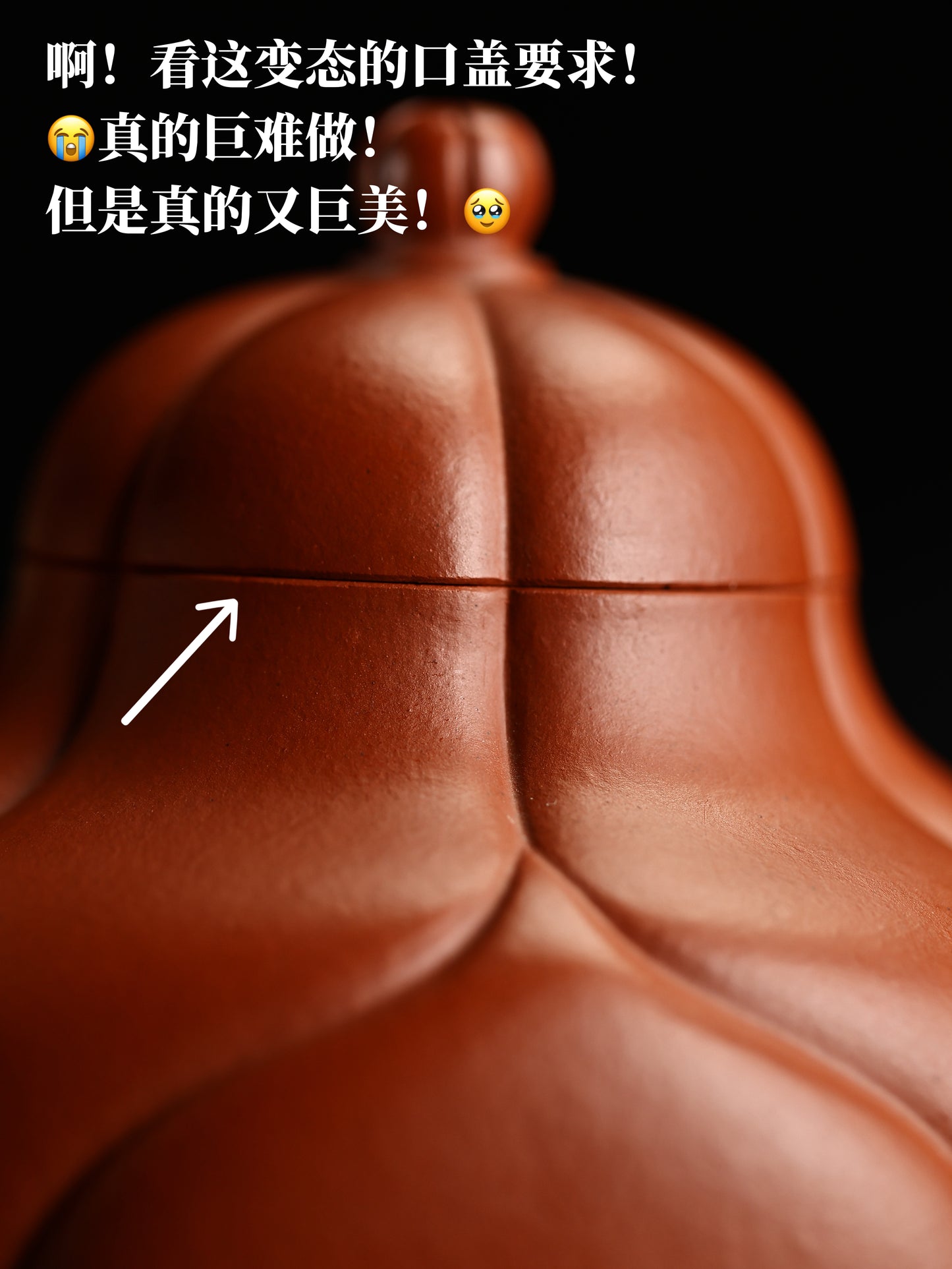 筋紋思亭 朱泥制 220cc